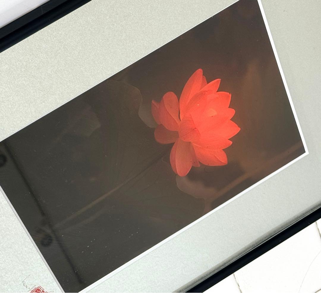 東風終（岩峰啓一）作品『蓮の花／Lotus flower』