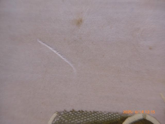 古画です。大変古いものです。絹に描かれています。韓国か中国のものだ　銀座加藤額