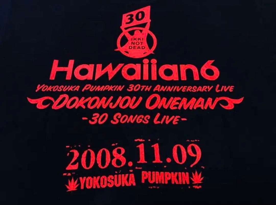 HAWAIIAN6『ド根性ワンマン』TシャツM 横山 健KEN YOKOYAMA