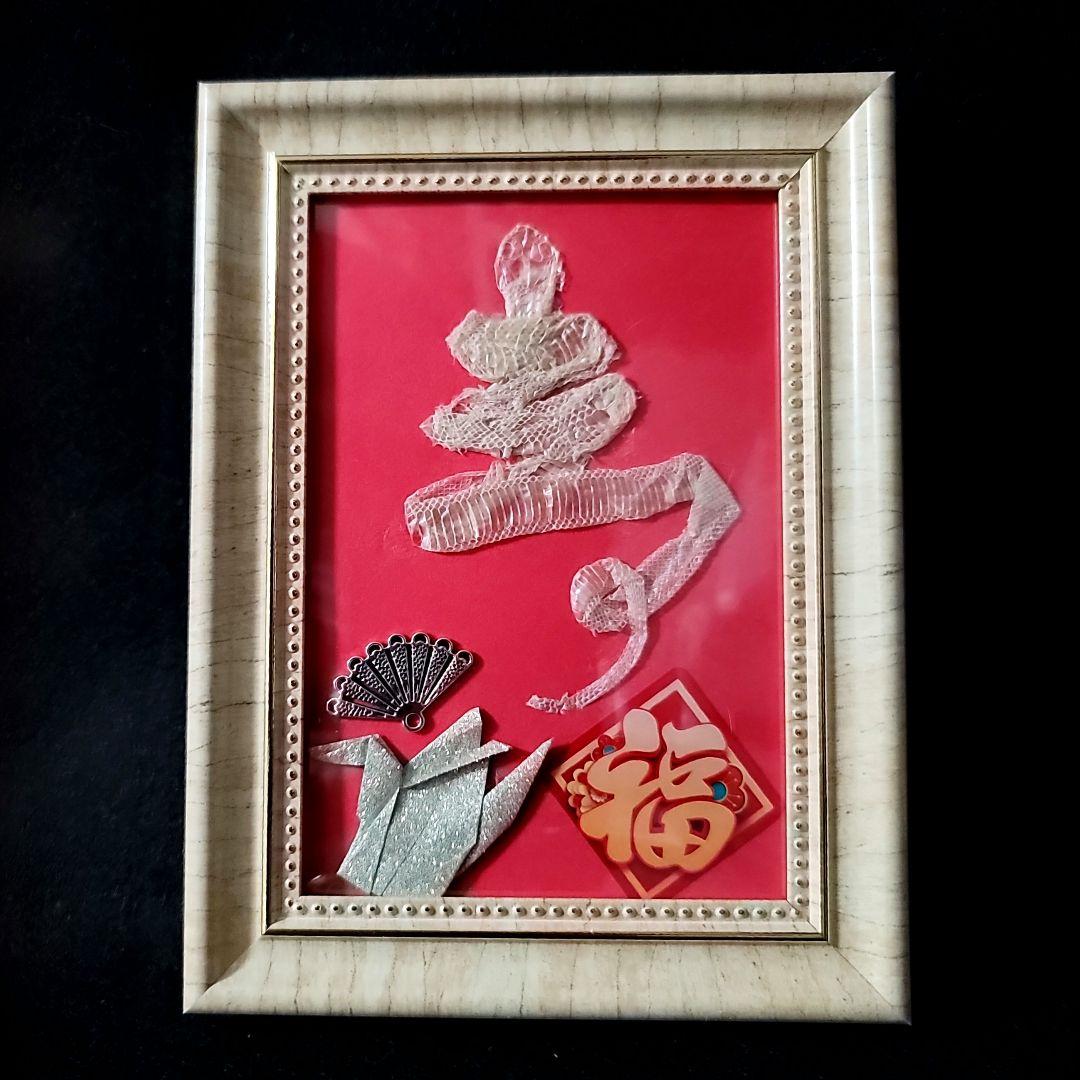 新品】蛇の抜け殻アート縁起物 蛇の抜け殻 【公式通販】