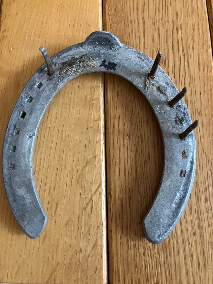 イクイノックス 実使用 調教 蹄鉄 鬣 一本付き ② イクイノックス】実