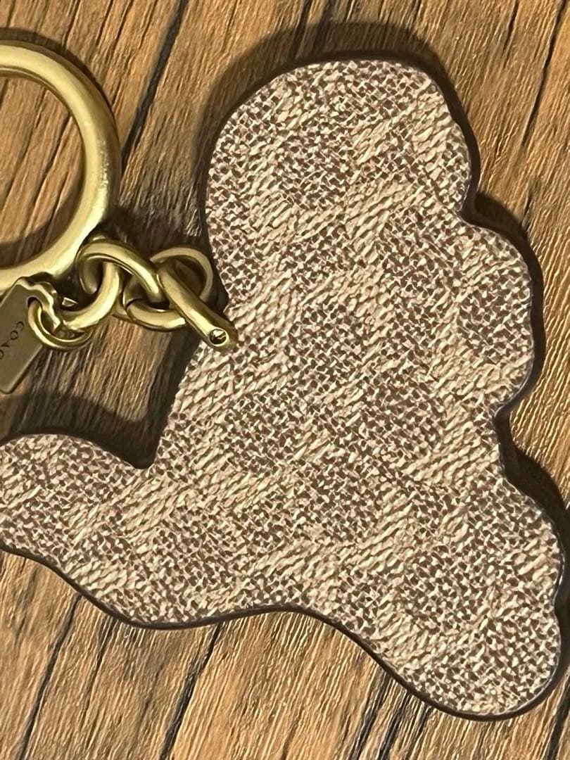 kinaco コーチのレキシー バッグ チャーム・シグネチャー キャンバス