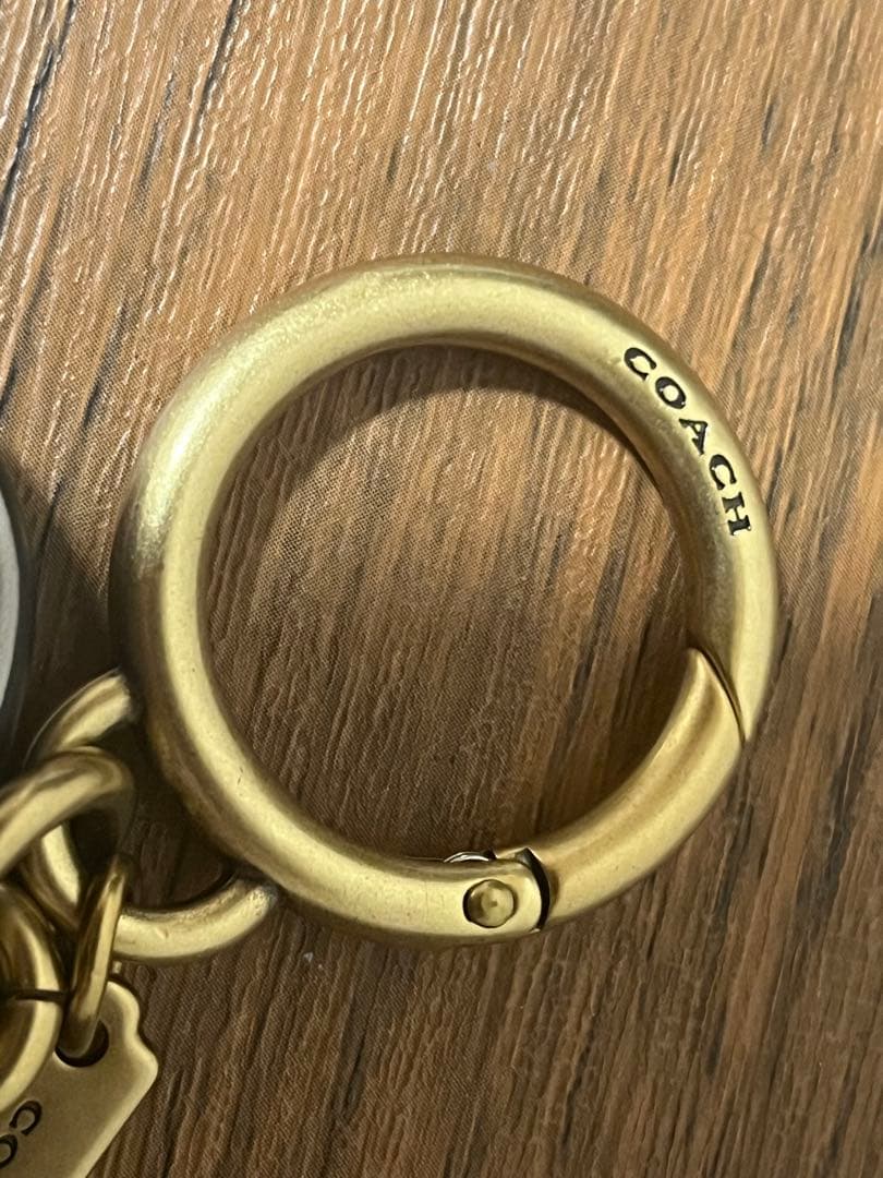 kinaco コーチのレキシー バッグ チャーム・シグネチャー キャンバス