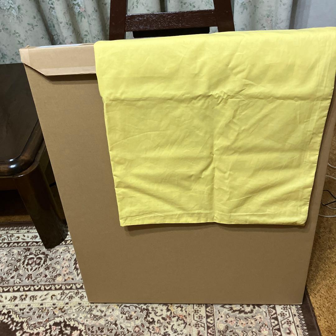 藤田嗣治　小説家　「四十雀」