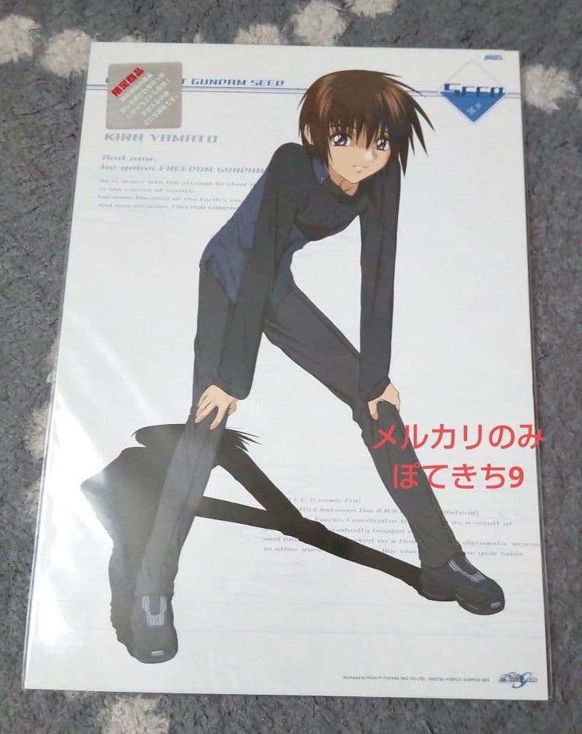 ガンダムSEED DESTINY ミニポスター 9枚キラアスラン イザーク