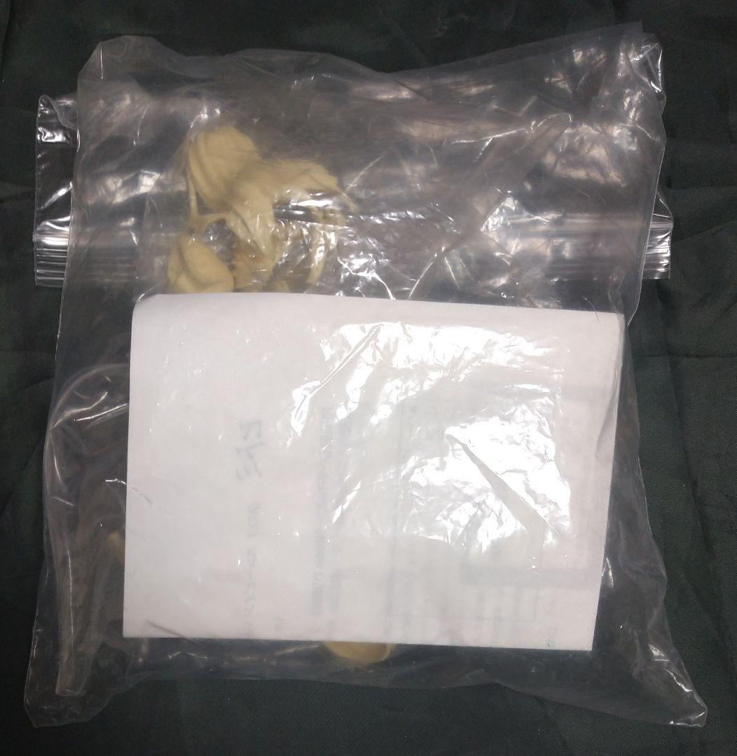 G-DOME DEAD OR ALIVE ヒトミ 水着 スコーピオンVer.