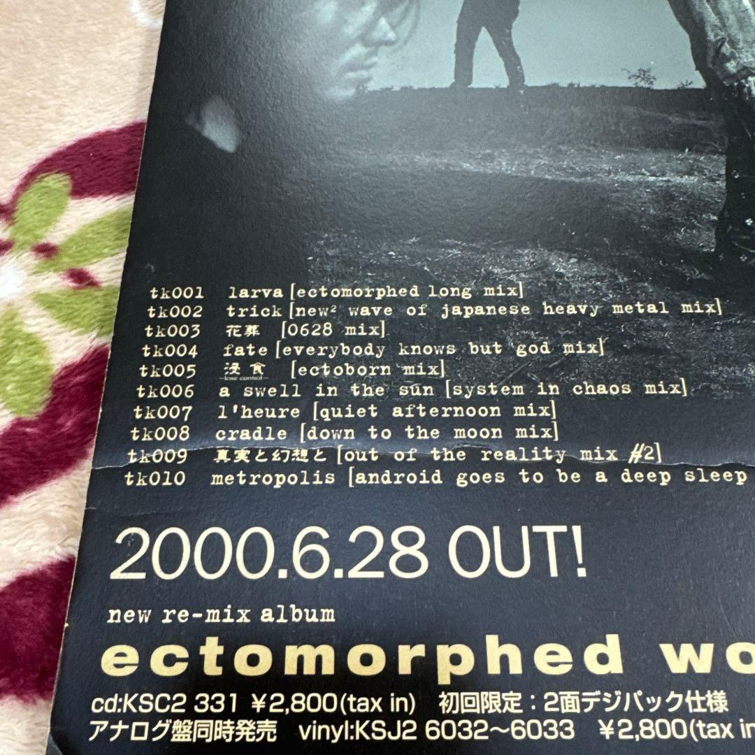 L'Arc~en~Ciel フライヤー