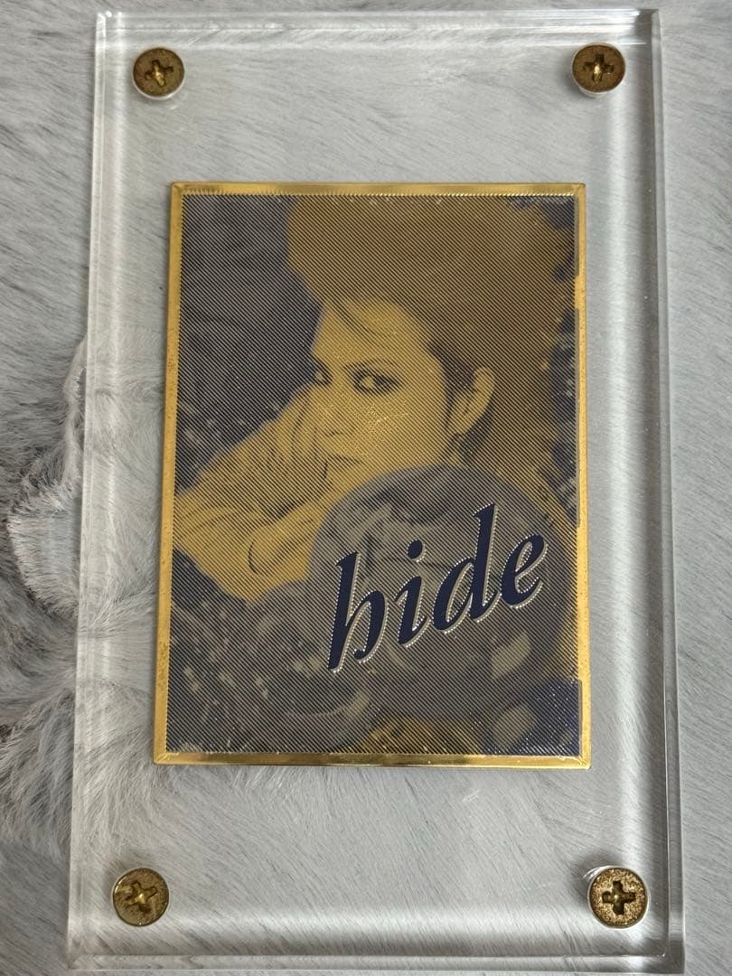 hide everfree 限定プレート