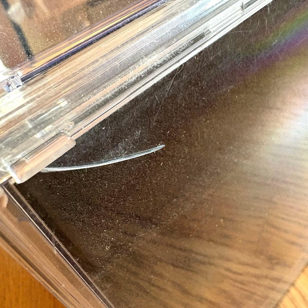 ゴーリー　スタチュー　インコ　現代アート　アートトイ　デザイナーズトイ