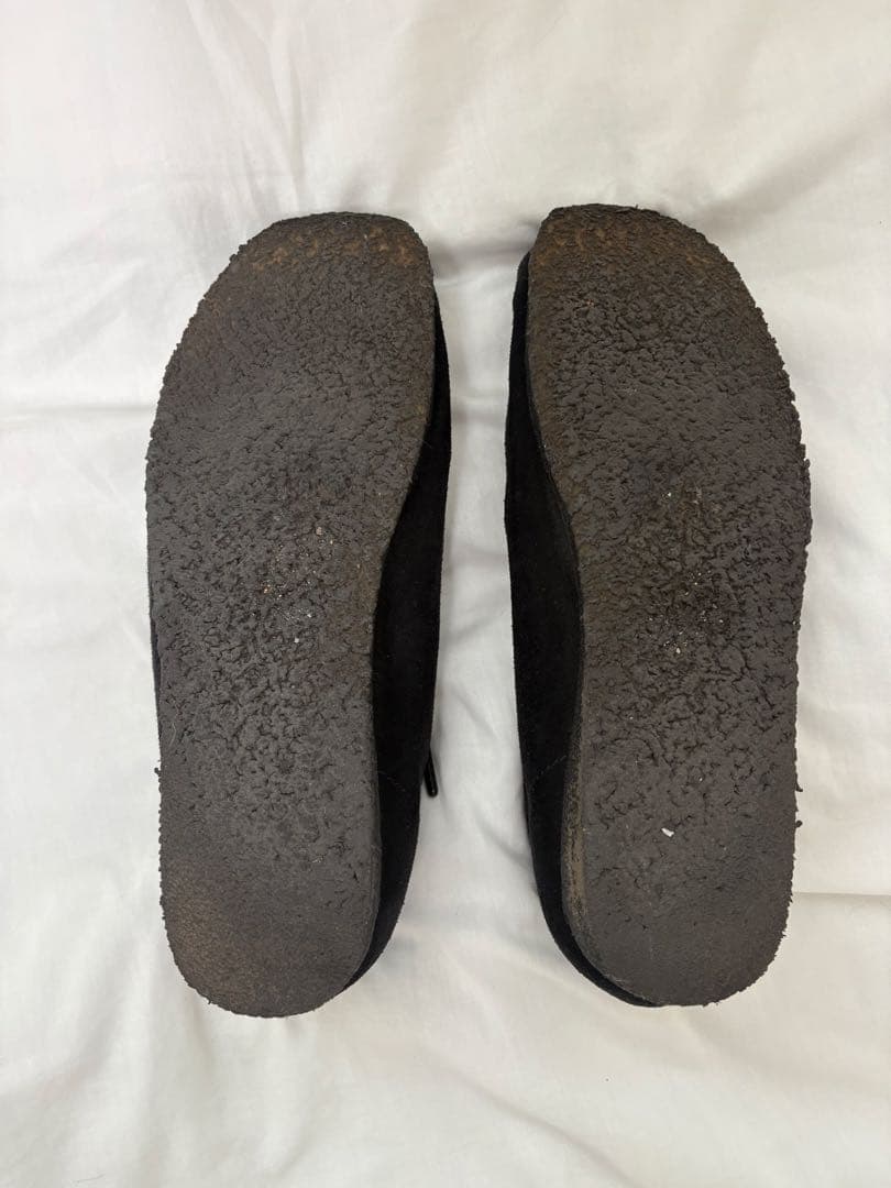 clark's ワラビー