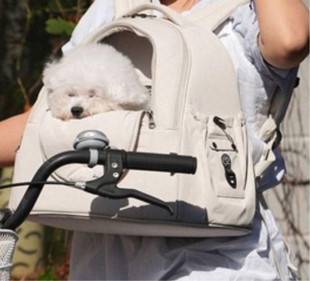 ssoook フロントバック Lサイズ アイスパック付き SSOOOKバックパック