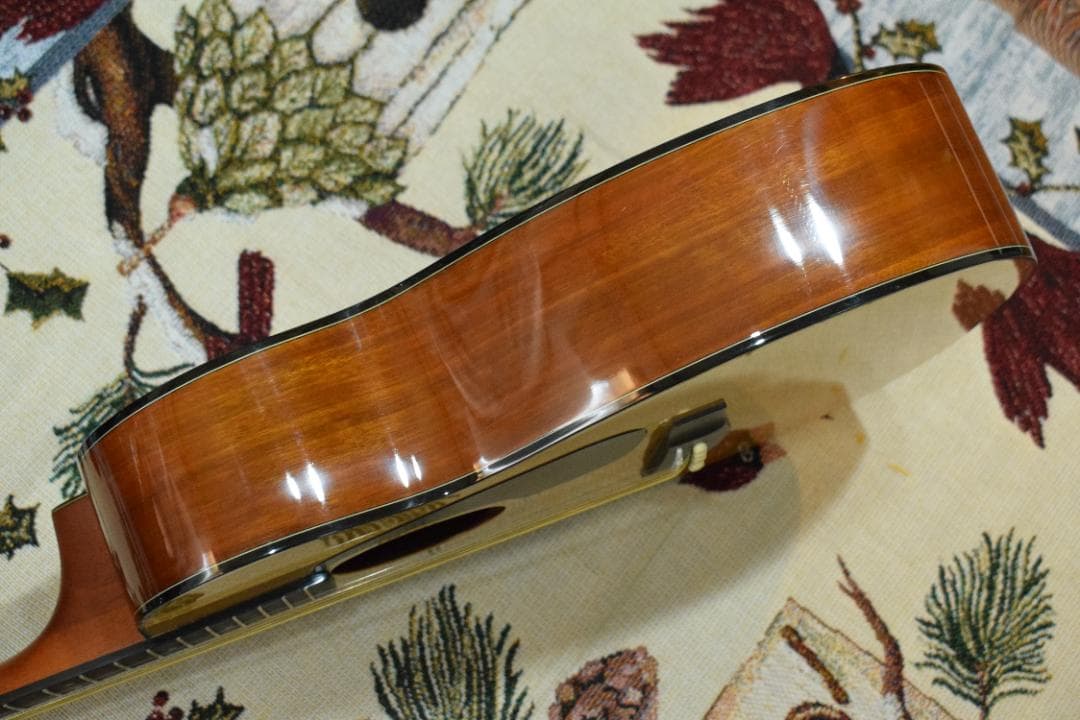 Morris F-01 II NAT 状態良好 ソフトケース付き