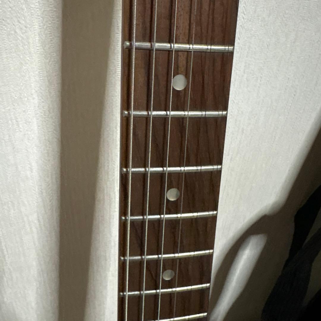 FERNANDES フェルナンデス ZO-3 エレキギター ソフトケース 楽器