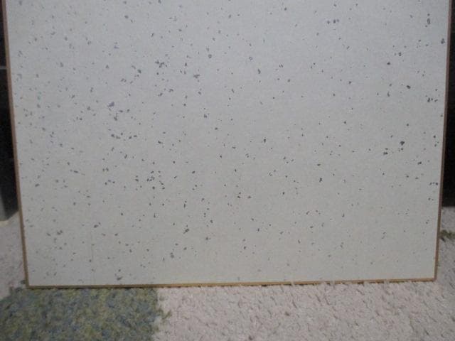 レア品　美品　板井れんたろう　直筆　サイン　色紙　額装　当時物