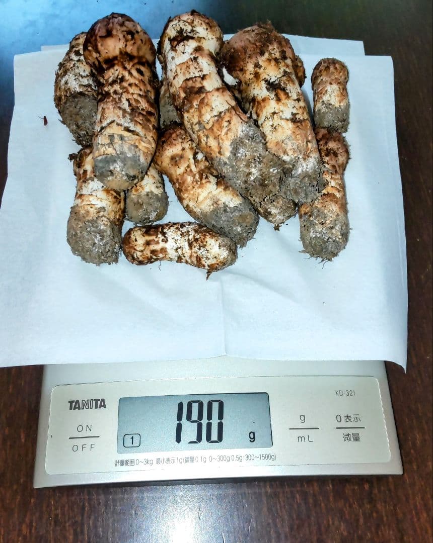 シェダニューピン Y9 500ml