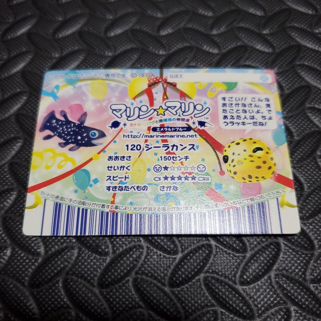 マリンマリンカード ＊シーラカンス＊