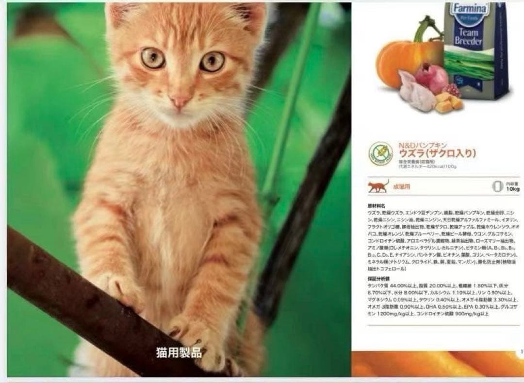 ファルミナ N&D パンプキン ウズラ（ザクロ入り）成猫用フード 10kg