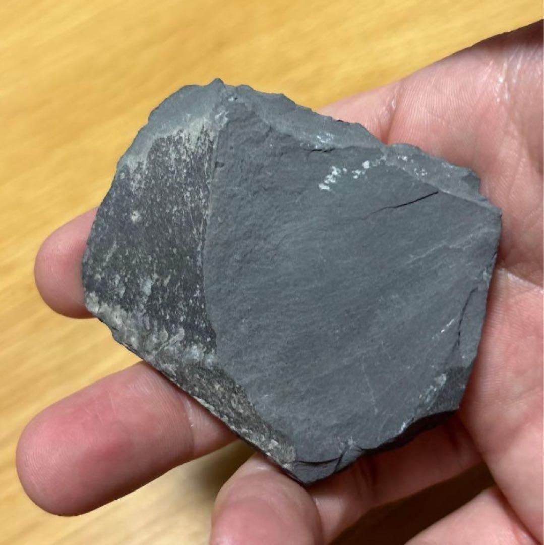 三葉虫 化石 石 インテリア 置物