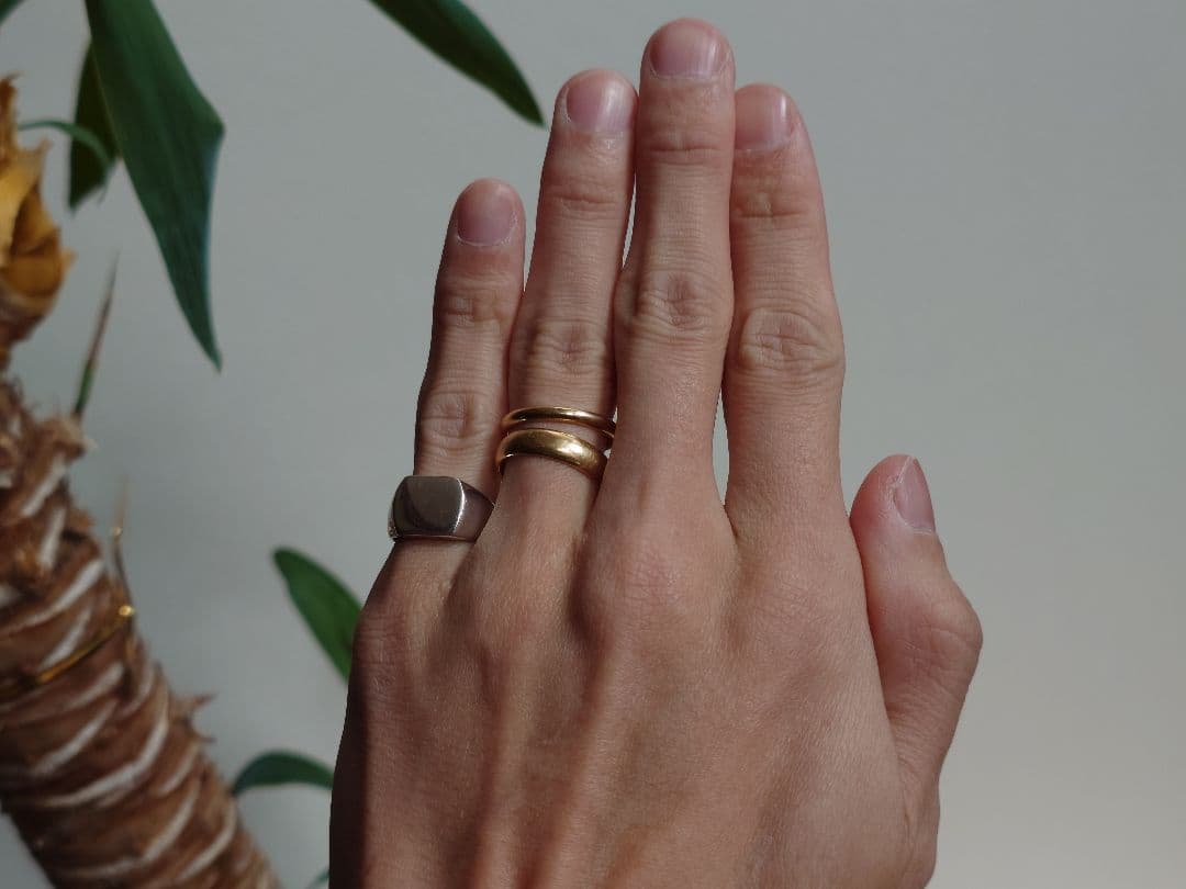 ACE by monizane ＋a シグネットリング計3点＋バンクローバー1点