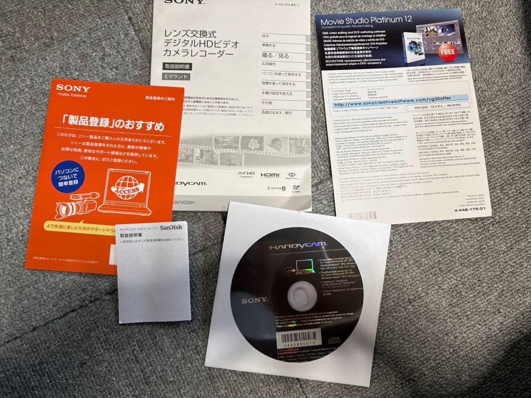 【美品】SONY ハンディカム NEX-VG30H 本体＋おまけ