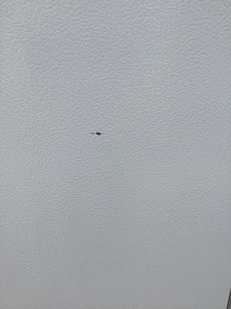 美麗 シャープ 2ドア冷蔵庫 SJ-14E7-KW 2020年製 137L