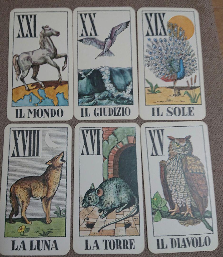 絶版❤️il Tarocco degli アウトレット animali アニマルタロット