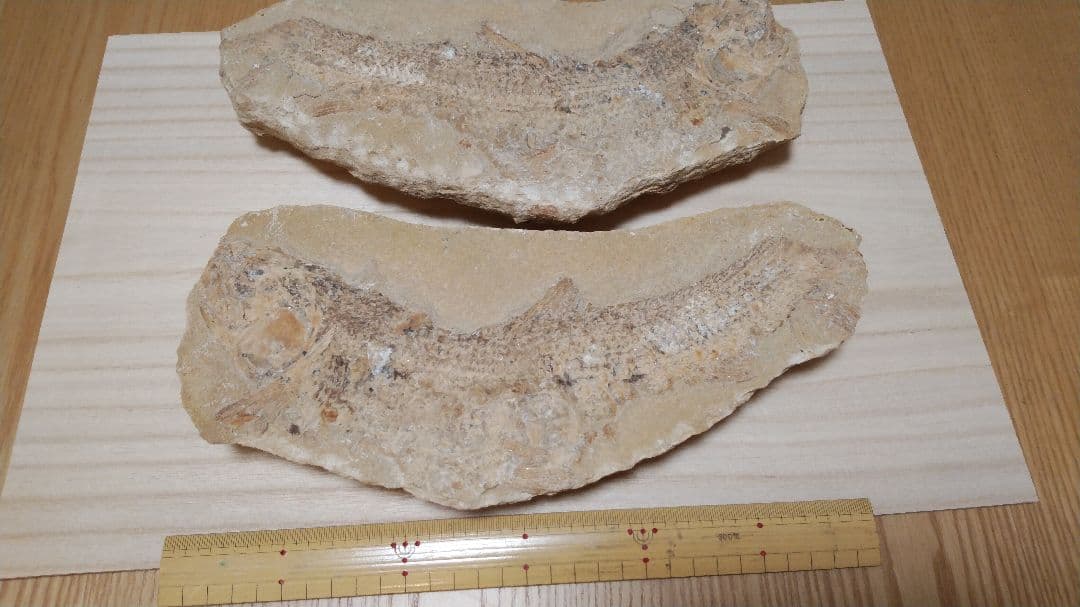 模写/田能村竹田/松陰清會図/絹表装/布袋屋掛軸HC-706