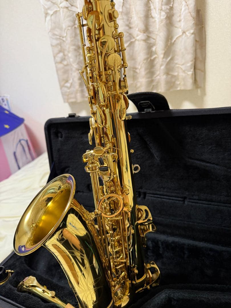 管楽器・吹奏楽器 YANAGISAWA a-wo1