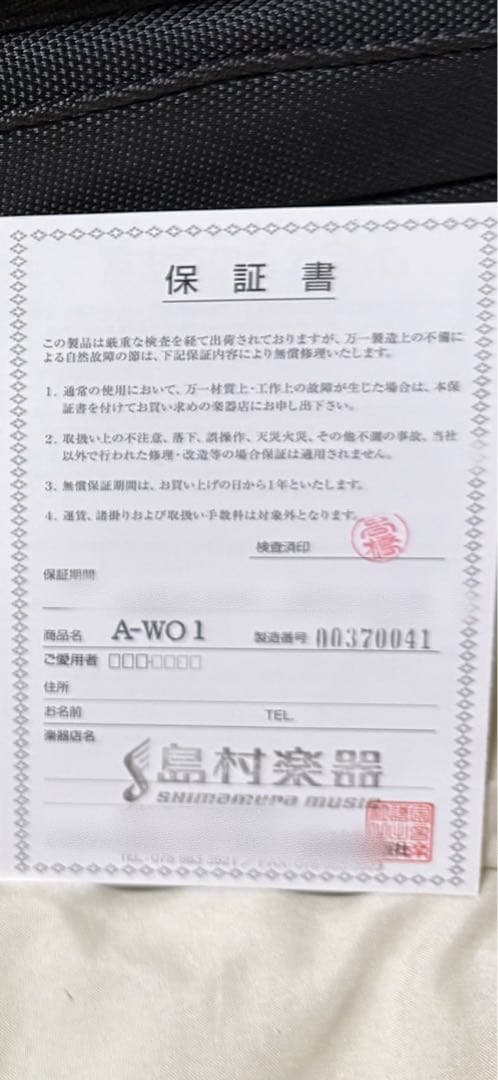 管楽器・吹奏楽器 YANAGISAWA a-wo1