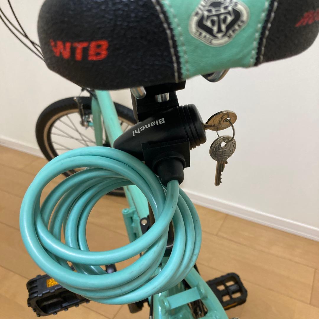 Bianchi trevigrio ビアンキ　トレビリオ