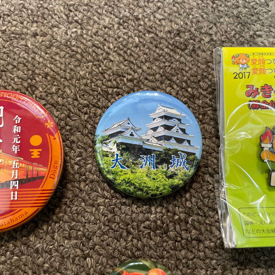 愛媛ゆかりの缶バッジ・ピンバッジセット - メルカリ