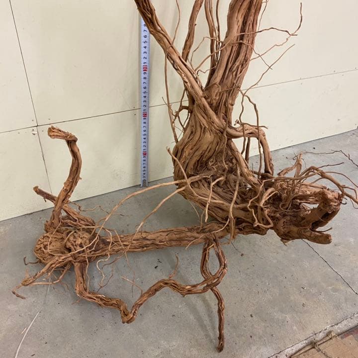 XM-460 流木 マシンガンウッド アクアリウム ブランチウッド 沈水確認