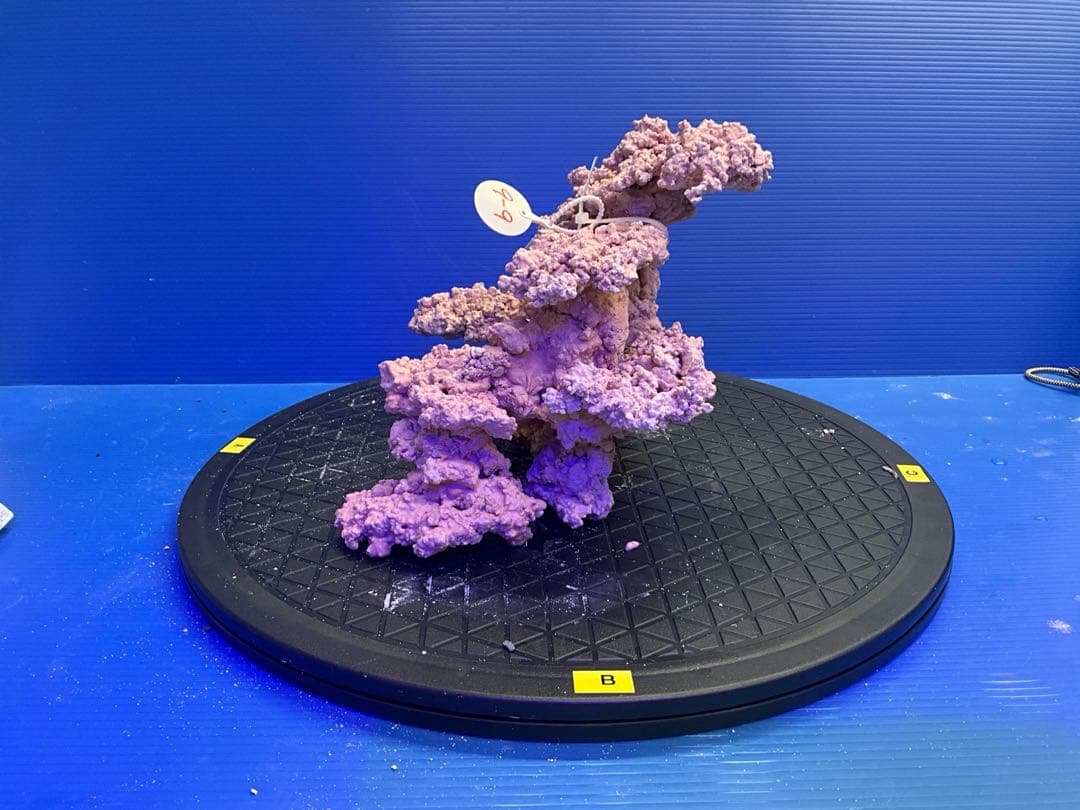 人工ライブロック　No.9-9 無害化処理済