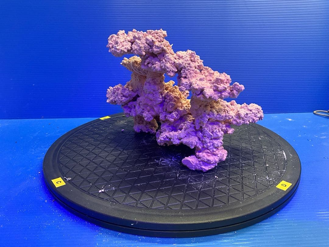 人工ライブロック　No.9-9 無害化処理済