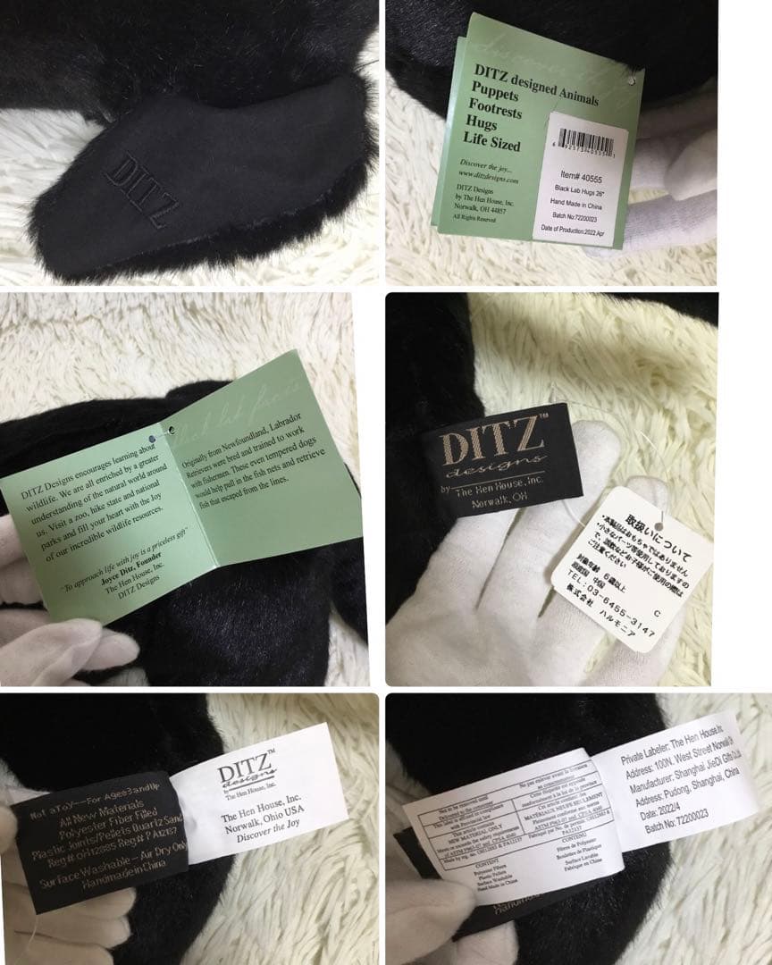 希少◆新品 DITZ ディッツ DitzDesing ハルモニア 犬 ぬいぐるみ