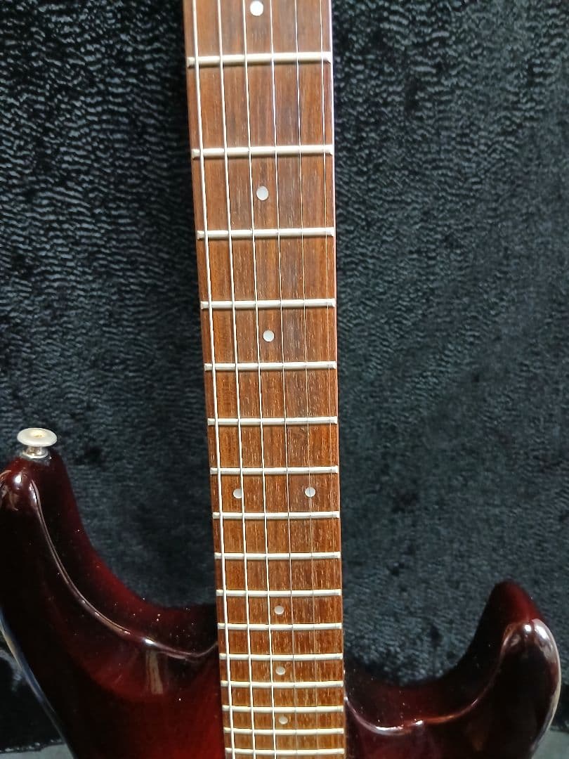 AriaproIIMAGNA Shires ソフトケースシールドストラップ付 楽器・機材