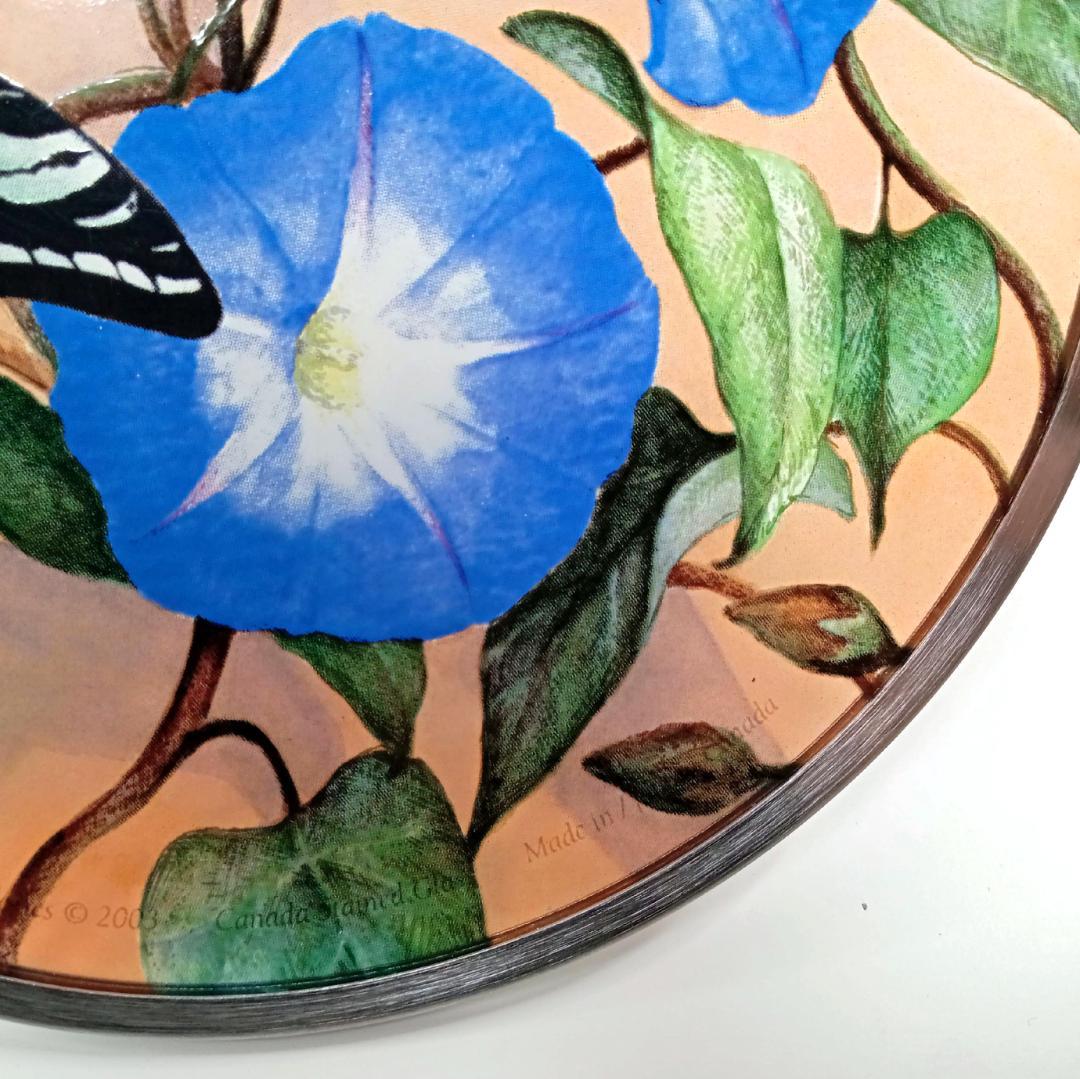 新品 夏・ゼブラアゲハ蝶と朝顔 カナダ・ステンドグラス社 ちょうちょ