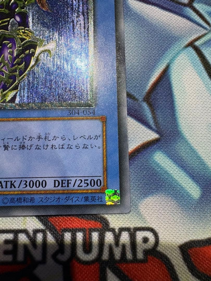 カオスソルジャー　レリーフ