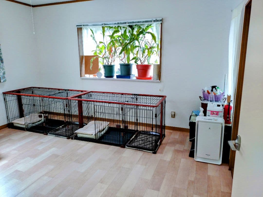 犬用折りたたみケージ 1区画 黒赤 犬用折りたたみケージ 1区画 黒赤 楽天市場】＼楽天1位／ 犬 ケージ