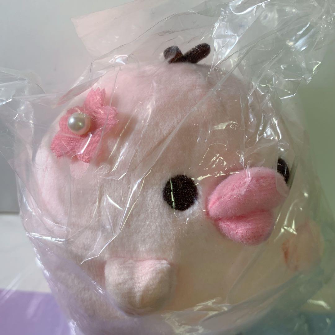 激レア　リラックマ　リラックマストア 限定　まんまる もーちもち ぬいぐるみ