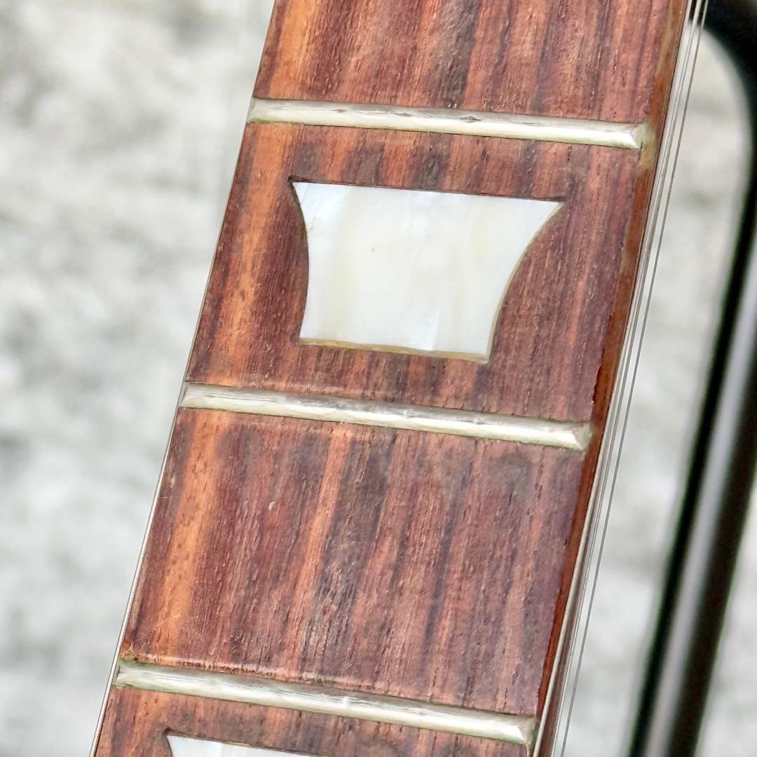 Burny ジョー・ペリーモデル レスポールスタイル