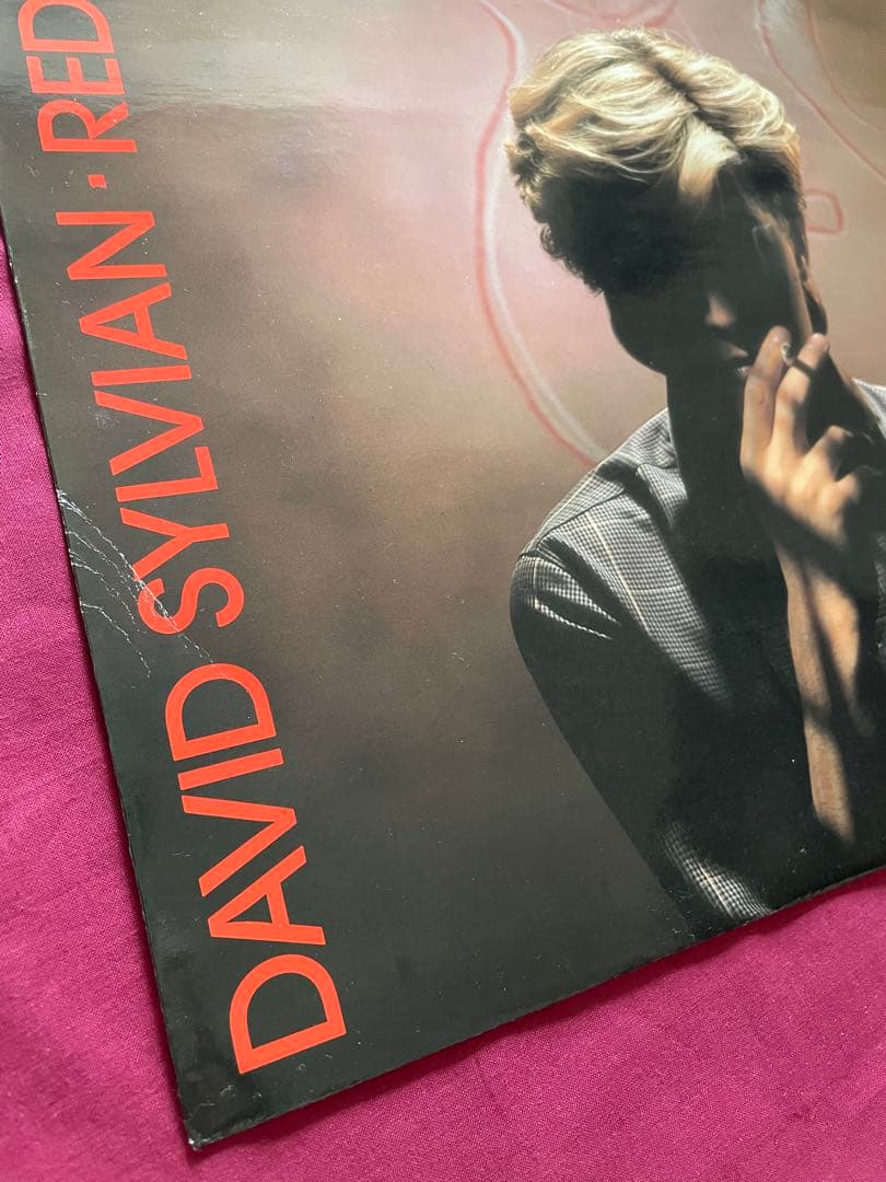 David Sylvian The Perfume of Wealth サイン付 美術品・アンティーク