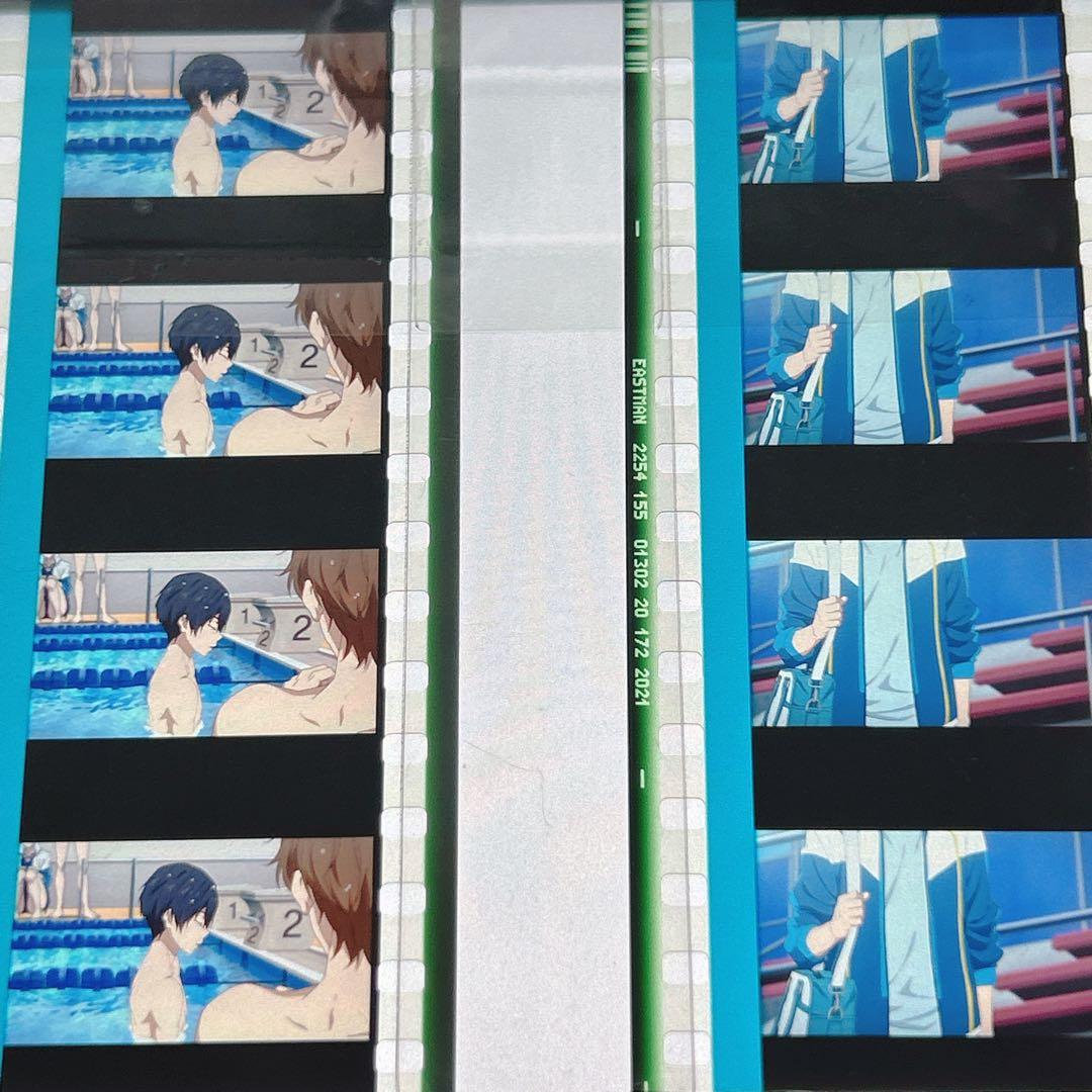 劇場版 Free! 入場特典 コマフィルム 遙 真琴