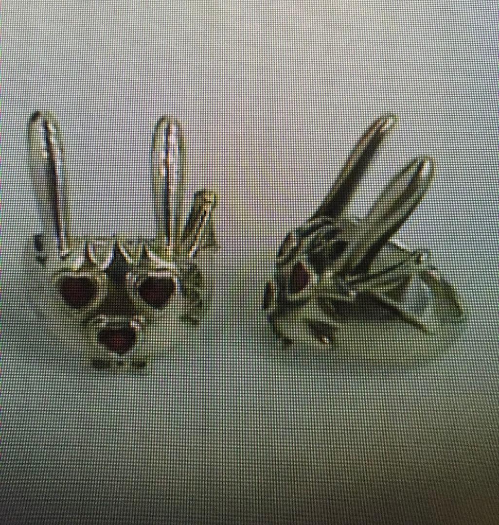 忌野清志郎ヒトハタウサギ指輪