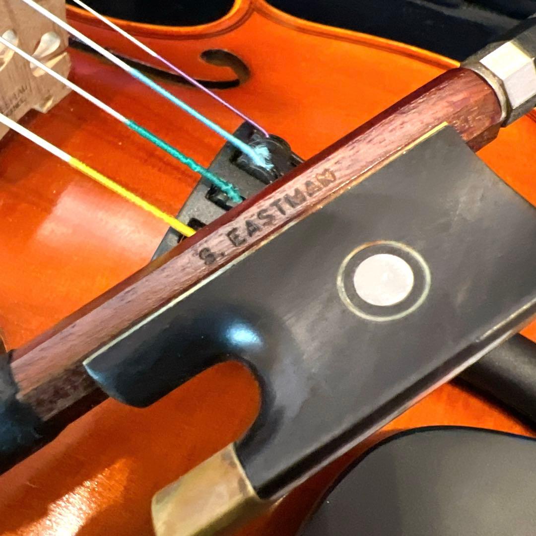 【良品】Andreas Eastman VL80 1/4 2021年製