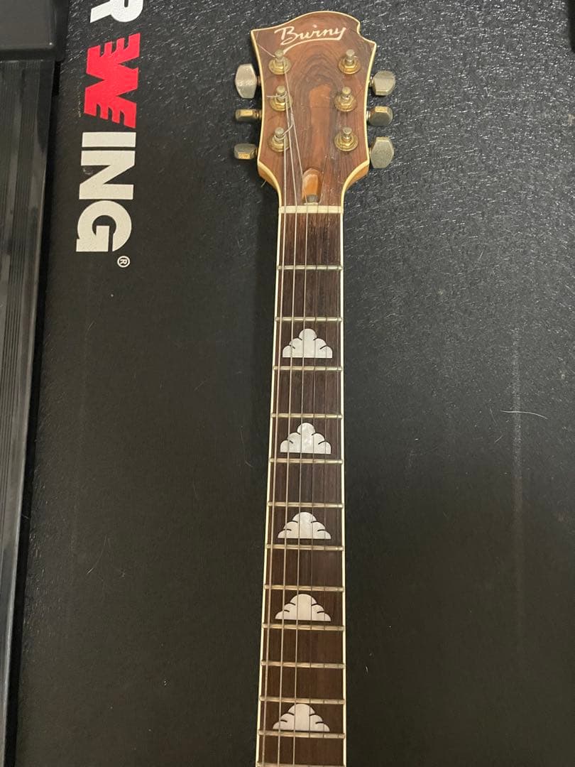 bupbup様専用hideモデル！Burny バーニー mg 850x