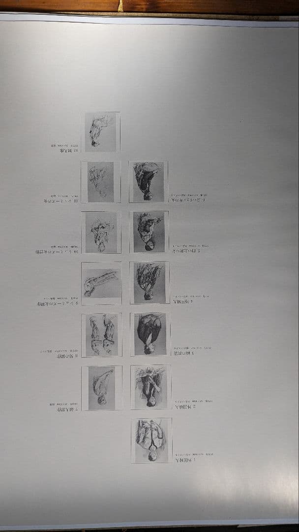 小磯良平と画集付きのベルナールビュッフェ - メルカリ