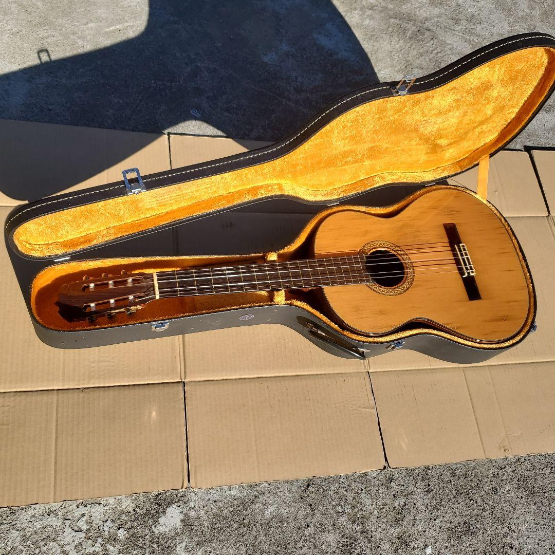 Epiphone Flying V ギグバック付き まりさん様専用