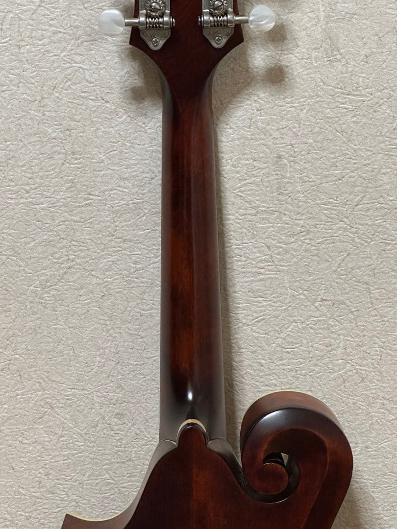 Eastman MD315/Antique Red 弦楽器