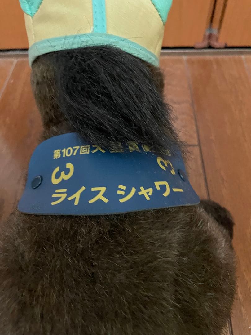 第107回　天皇賞　ライスシャワー　ぬいぐるみ